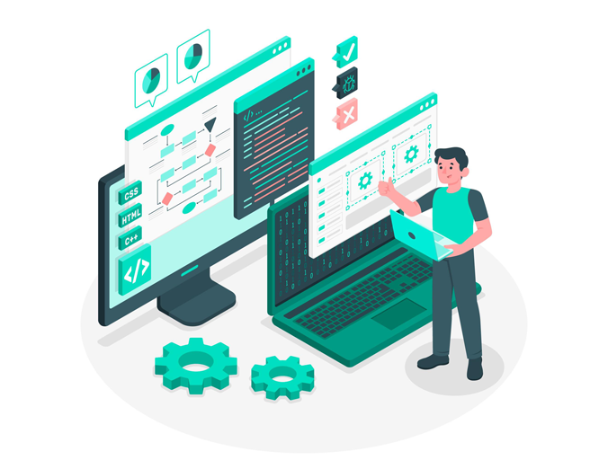 Custom Website Development